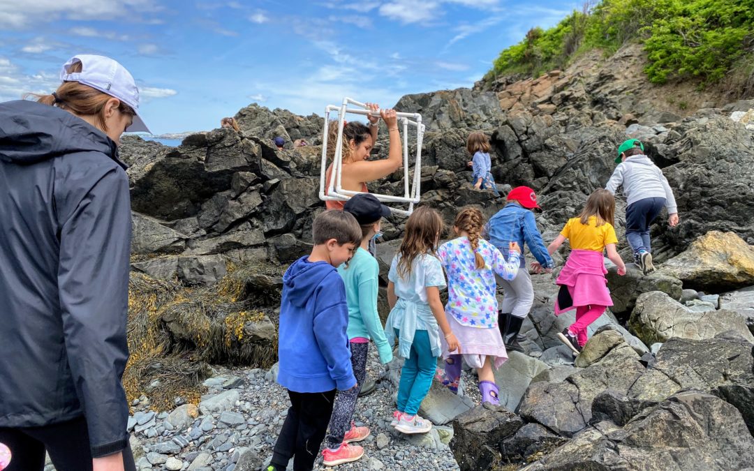 Kindergarten Visits Northeastern’s Marine Science Center