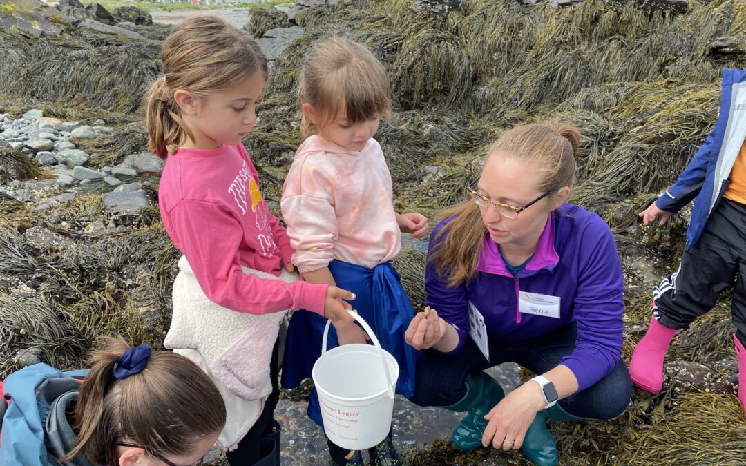 What’s in Those Tide Pools?