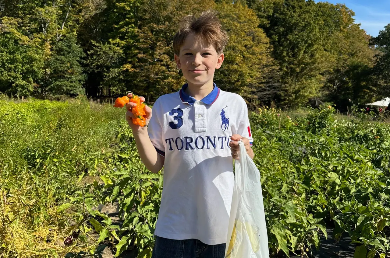 Grade 7 students planting and harvesting at Baker Bridge Farm