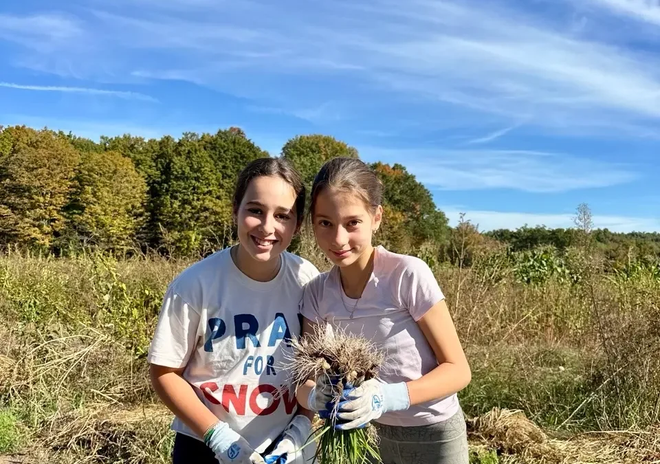 Middle School Social Justice Day of Service