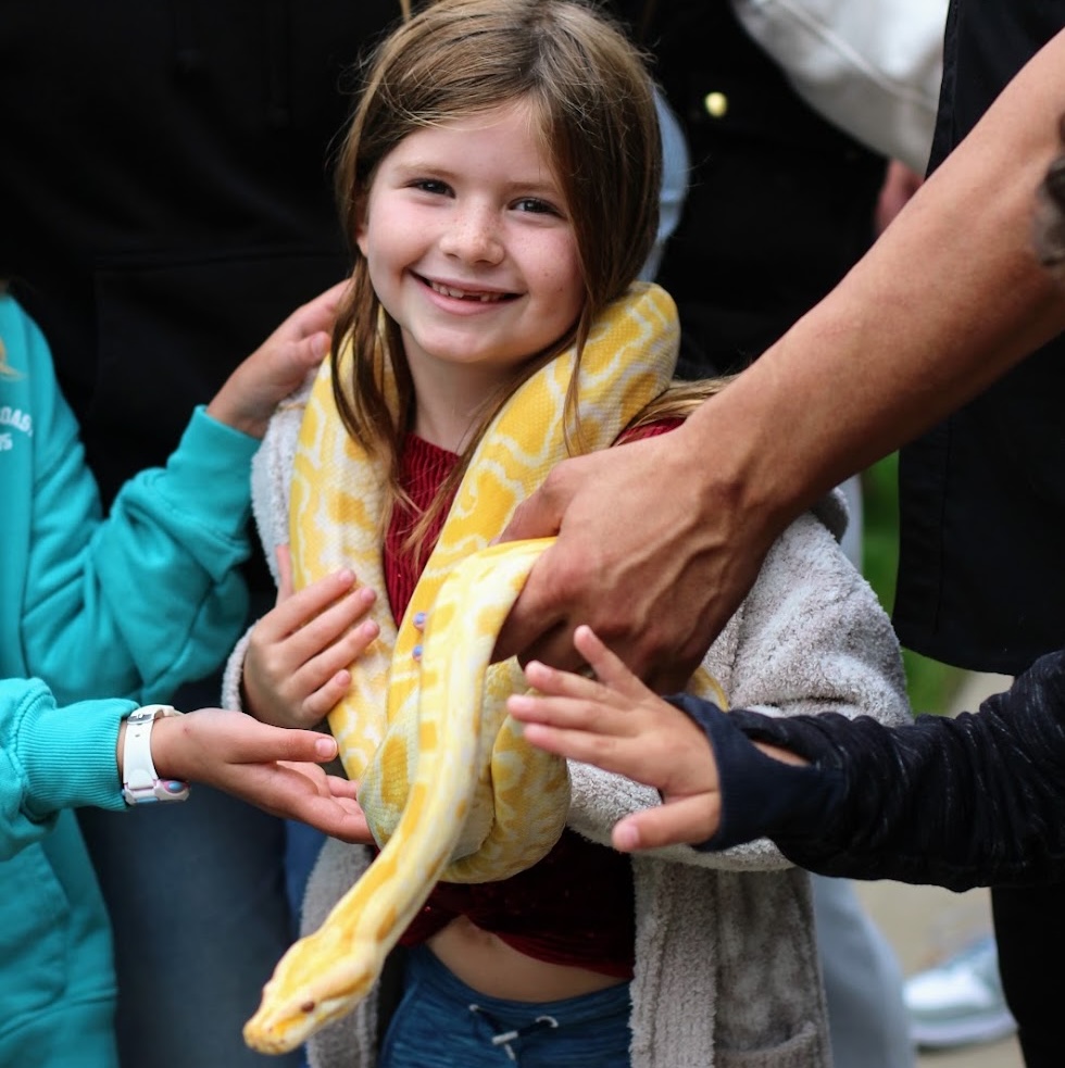A girl holding a yellow snake around her neck